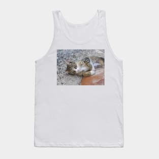 Cute Eddie Kitten Portrait Tank Top